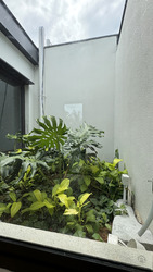 Kheam Hock Road (D11), Semi-Detached #550376661